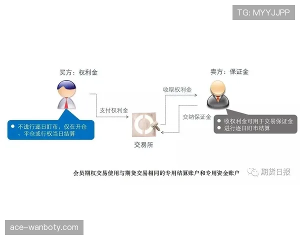球门球判罚条件与执行规则详解，避免常见误区解析