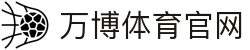 万博体育app - Manbetx 随时随地连接热血沸腾的掌上赛场